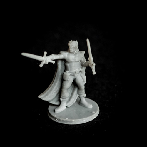 Half Elf Fighter (Dual Wielding)